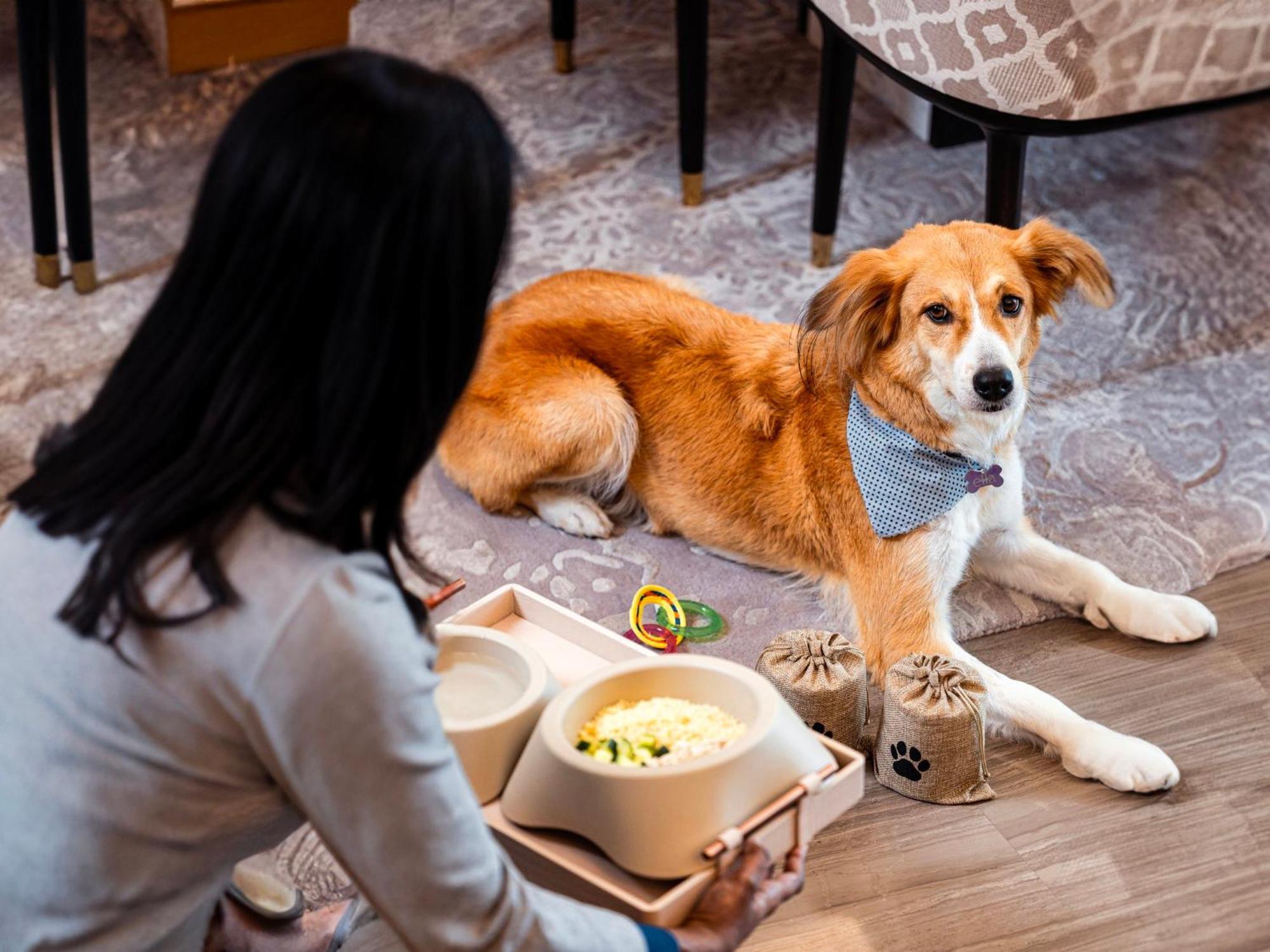 Abesq Doha Hotel And Residences, An Ihg Hotel المظهر الخارجي الصورة A dog at the Four Seasons Hotel, Hong Kong
